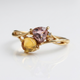 Shadow and Light Ring