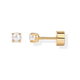 Delicate Pearl Stud Earrings | Gold