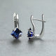 Blue Crystal Petal Earrings